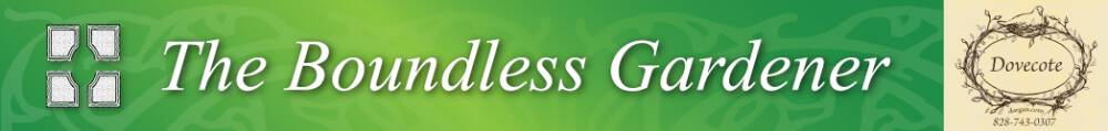 TBG_Banner_1047x125