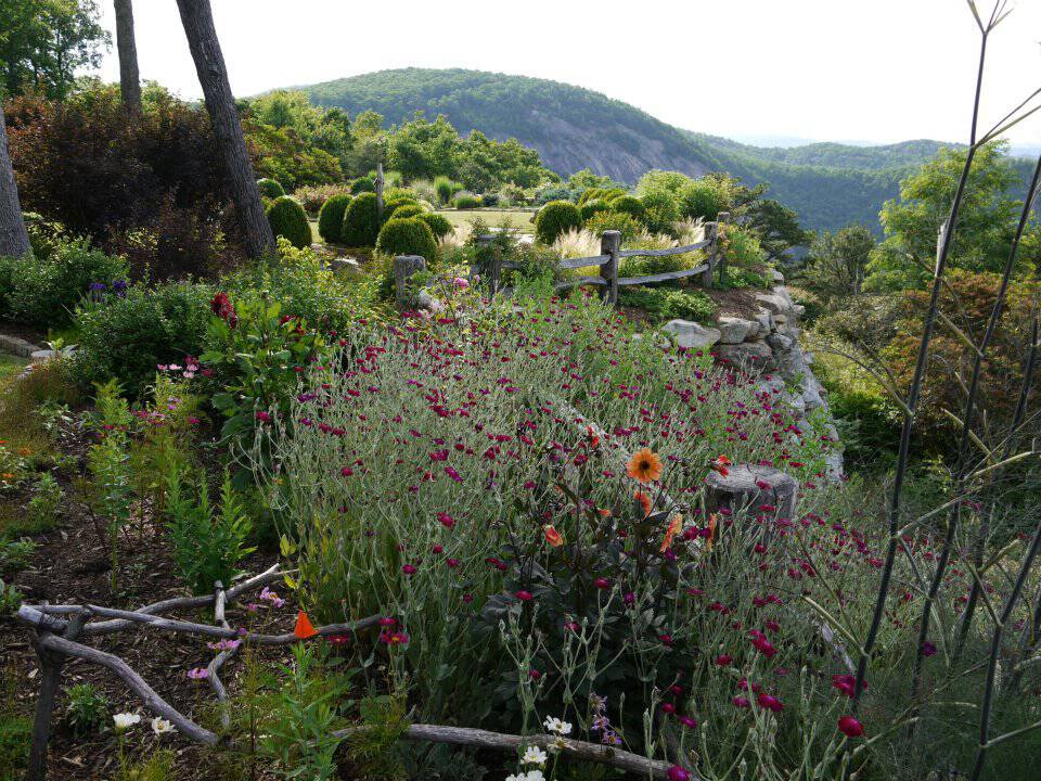 Healthy soil is a must in order for gardens to thrive and be beautiful! Project by Dargan Landscape Architects