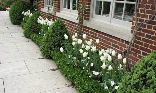 improving your property and landscape