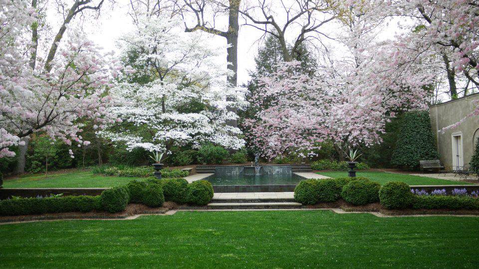 garden design for health and longevity