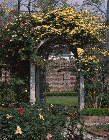 Charleston, SC Garden