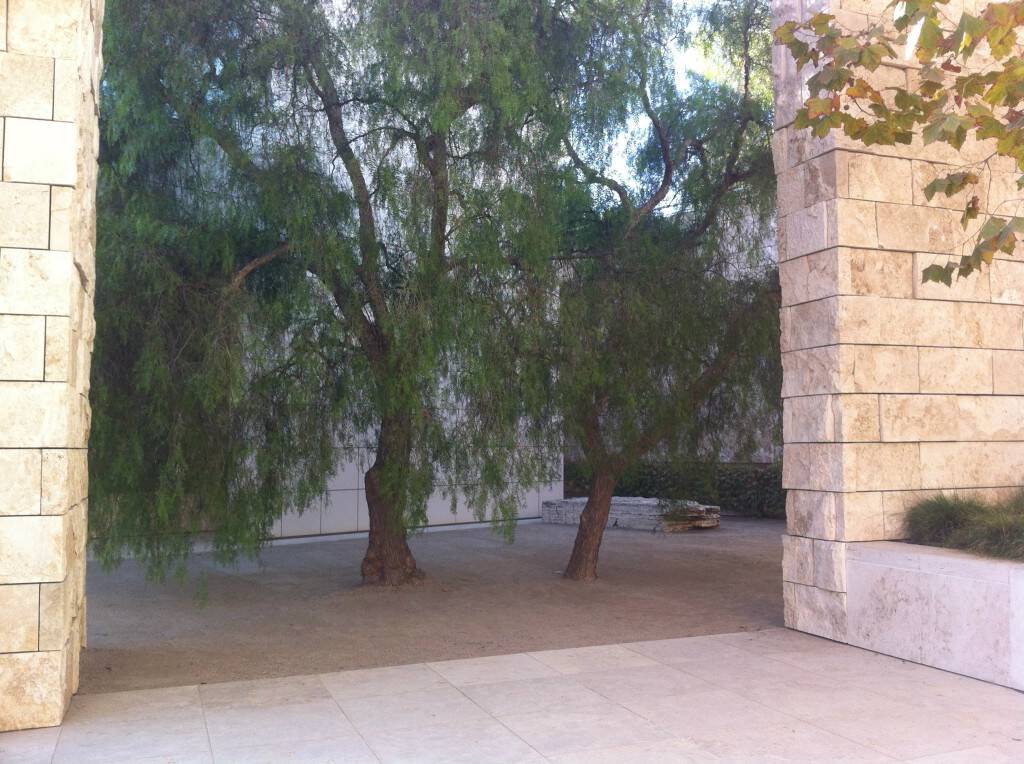 Getty tree place