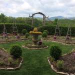 Young Rose Garden Project