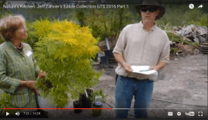 Jeff Zahner Part 1 shrubs edible 5-27-16