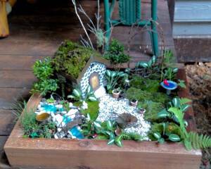 Karla Sidey's miniature garden 2016