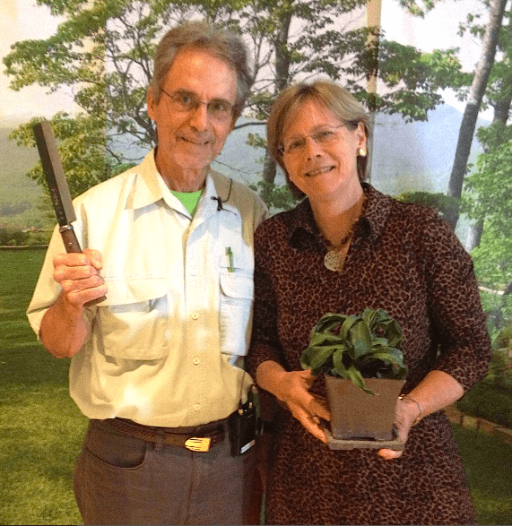 Ozzie Johnson, Chelsea INternational plant of hte year breeder, brandishing a Japanese  pruning knife