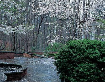 Atlanta landscape architects