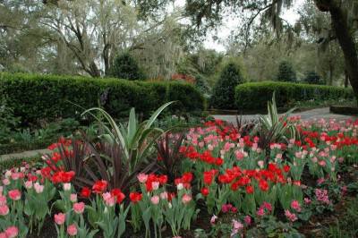 Transform Your Landscape into a Recreational Space for Kids