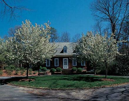 Western North Carolina landscape Architect Mary Palmer Dargan