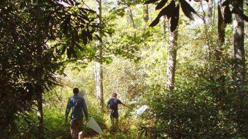 Highlands-Biological-Station