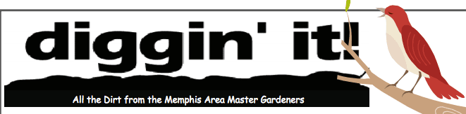 Memphis landscape architects