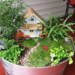 Fairy Garden Ideas