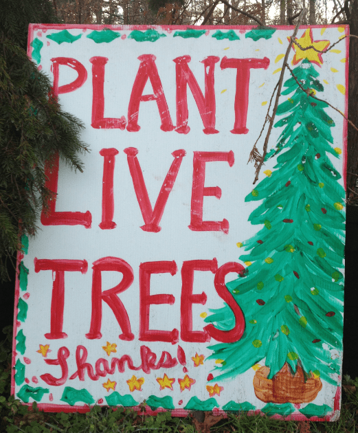 plant_live_trees_chattooga_gardens